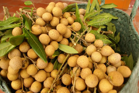 Congdongviet_net_-200330-180049