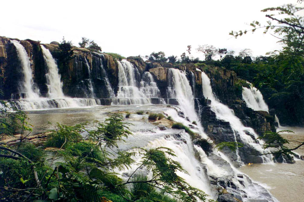 Congdongviet_net_-200331-232112