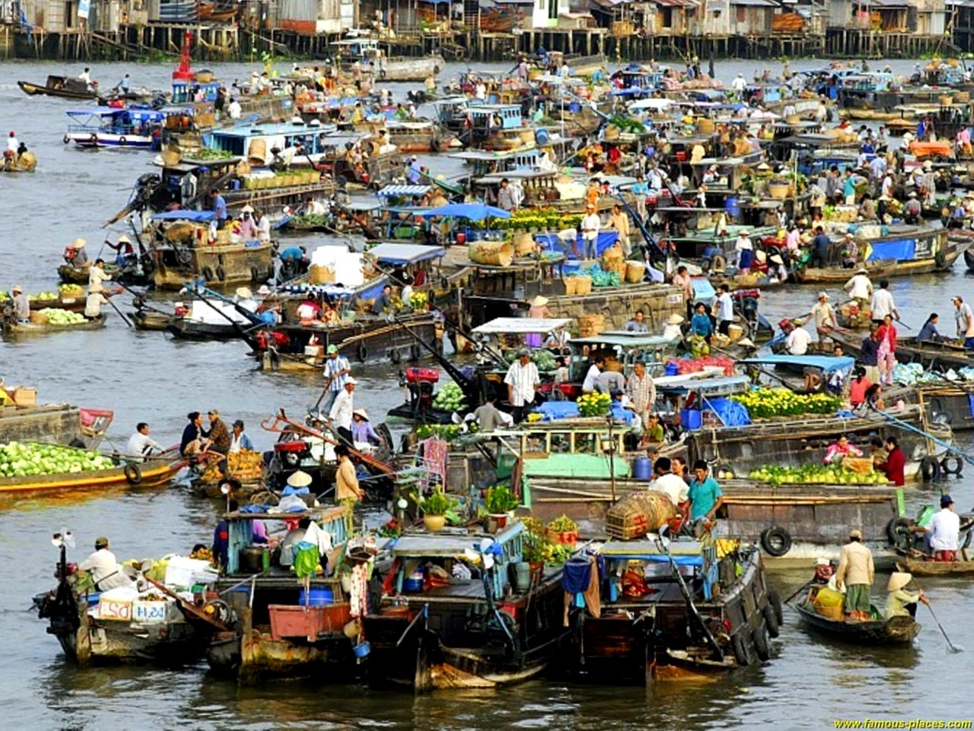 Congdongviet_net_-200331-085141