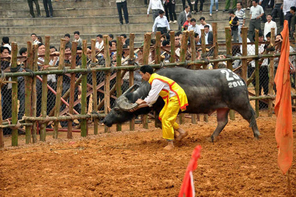 congdongviet_net_45LHPhuninh02-5ULqHgY4Dh-1585883477109