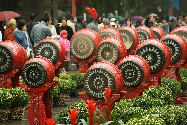 Congdongviet_net_-200401-161327