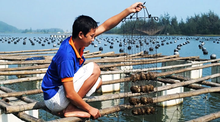 Congdongviet_net_-200331-085944