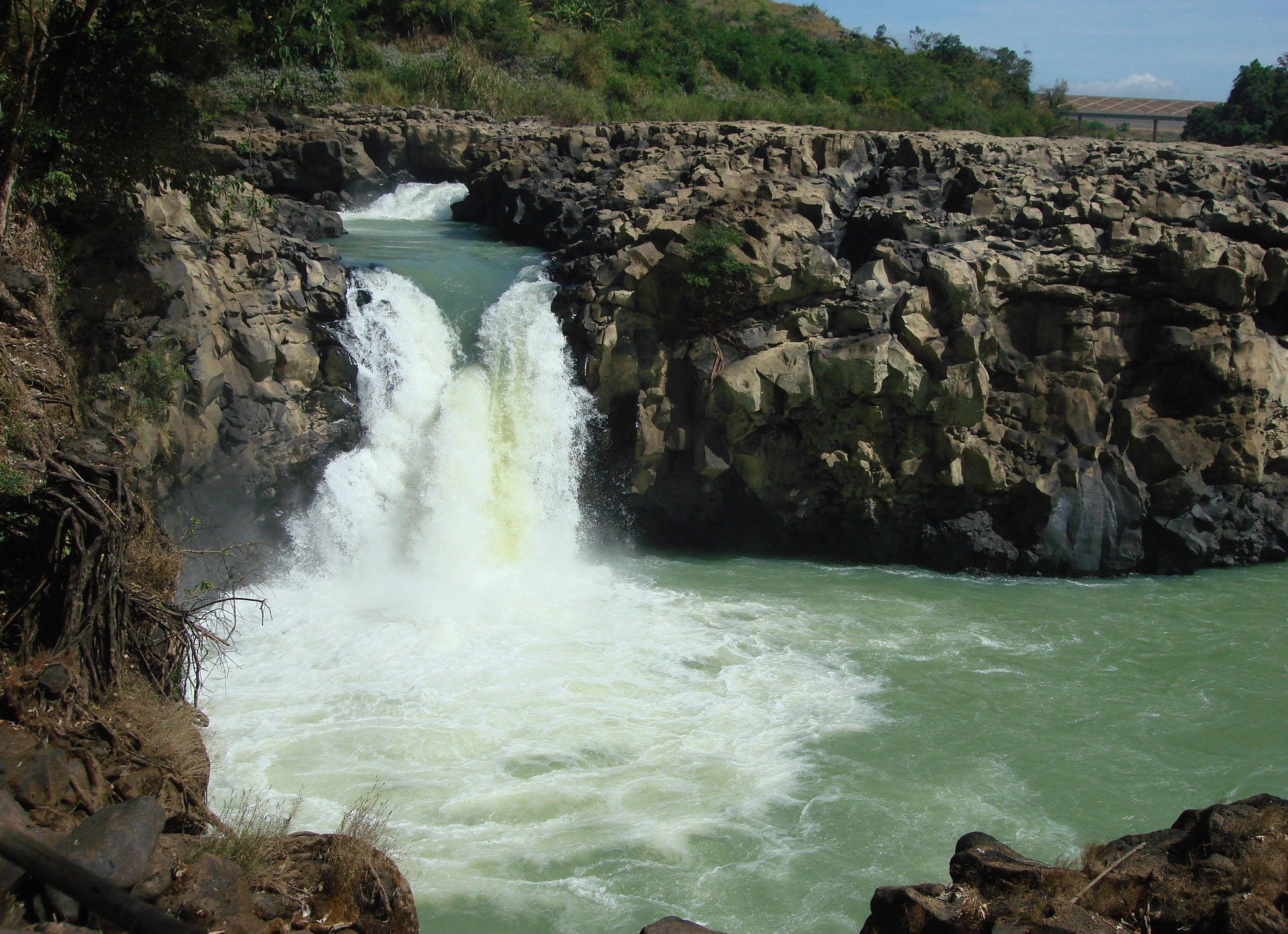 Congdongviet_net_-200401-102351